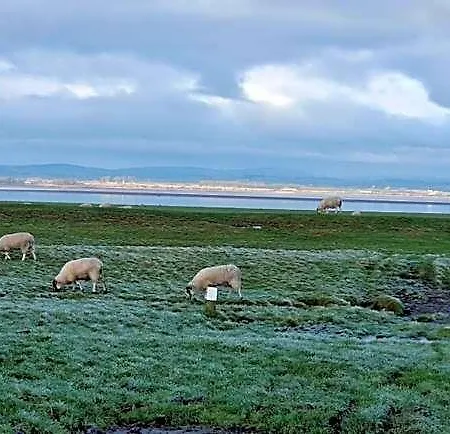 Port Carlisle Caravan Near Bowness On Solway Hotel Bassenthwaite